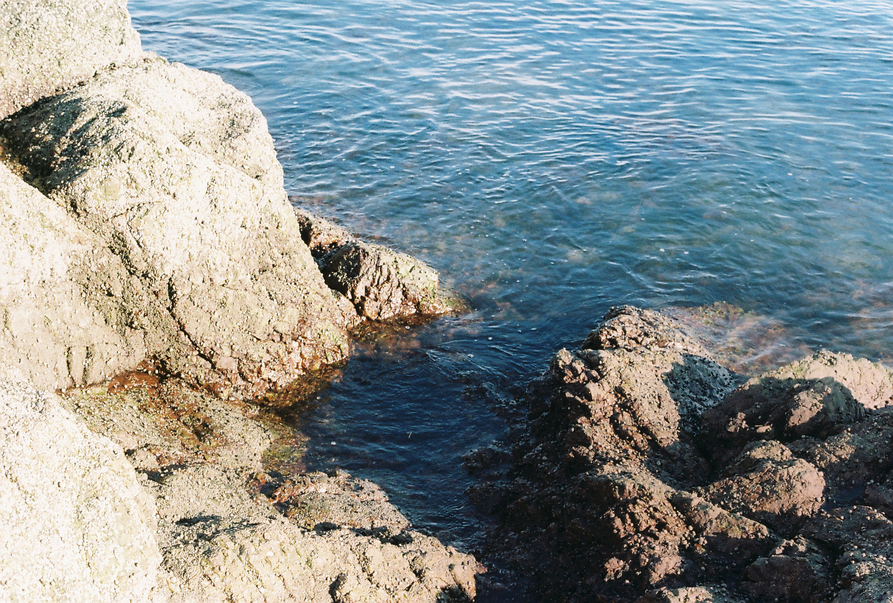 lighthouse point, new haven&nbsp;(2019)